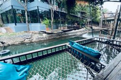 88 Coffee in Khaoyai