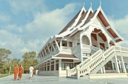 วัดเขาแผงม้า สาขาวัดหนองป่าพง อ.วังน้ำเขียว