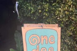 ร้านวันดีดี