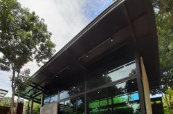 Mango film cafe