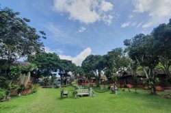 ไร่ชาหว่าเอ๋ย ภูน้ำอิงฟ้า วังน้ำเขียว