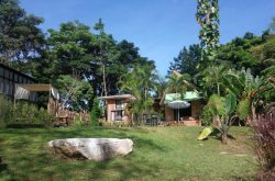 บรูคเฮ้าส์ เขาใหญ่