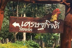 เศรษฐกิจดี รีสอร์ท ณ ปากช่อง﻿