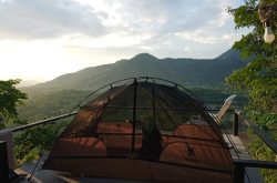 ลานกางเต็นท์ ไร่หงส์ฉกาจ