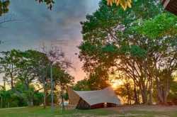 ริมผาฟ้าอ้อนดาว ลานกางเต็นท์เขายายเที่ยง