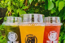 Rock Bear Coffee