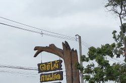 ร้านตอไม้ สูงเนิน