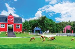 ฟาวน์เท่นทรี รีสอร์ท