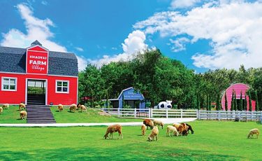 ฟาวน์เท่นทรี รีสอร์ท